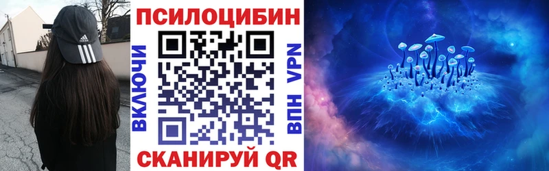Псилоцибиновые грибы MAGIC MUSHROOMS  где найти наркотики  Кисловодск 